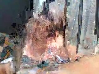 altgirlmolly 22 y. o. 