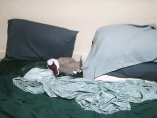 smoovandrinn 0 y. o. 