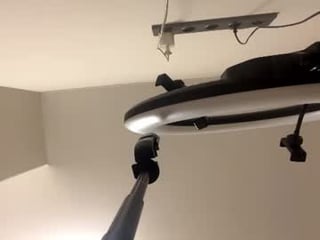 sylvialawrence 18 y. o. asian cam girl shows perfect ass