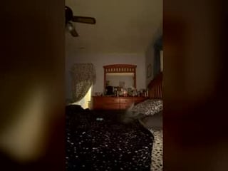 daddynsebrinaxoxo 0 y. o. cumshow with beautiful webcam couple online