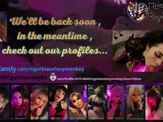 tigerblazefoxymonkey 0 y. o. 